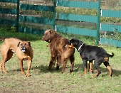 Pension_4