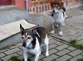Pension_59