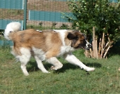 Pension_29