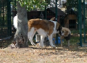 Pension_31