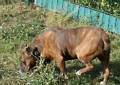 Pension_32