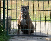 Pension_33