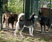 Pension_40