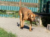 Pension_41