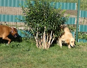 Pension_47