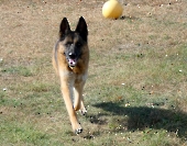 Pension_55