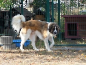 Pension_73