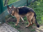 Pension_1