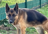 Pension_48
