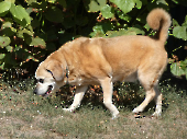 Pension_32