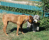 Pension_44