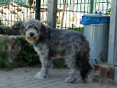 Pension_48