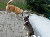 Pension_65