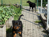 Pension_67