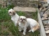 Pension_11