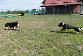 Pension_62