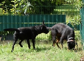 Pension_24