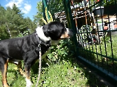 Pension_2