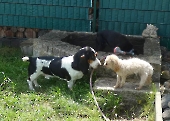 Pension_32