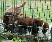 Pension_20