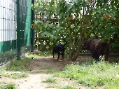 Pension_5