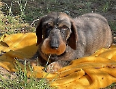 Pension_78