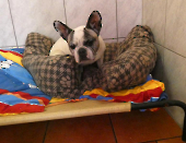 Pension_14