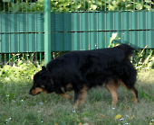 Pension_35