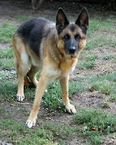 Pension_24