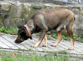 Pension_42