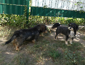Pension_48