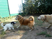 Pension_59