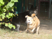 Pension_7