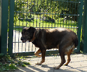 Pension_8