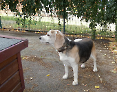 Pension_10