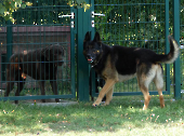 Pension_24