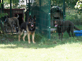 Pension_25