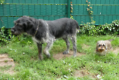 Pension_26