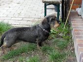 Pension_29