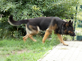 Pension_33