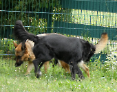 Pension_48
