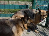 Pension_76