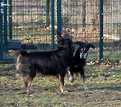 Pension_44