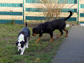 Februar 2025