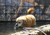 Pension_11