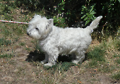 Pension_3