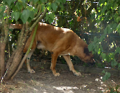 Pension_46