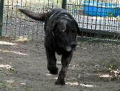 Pension_4