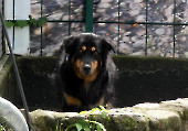 Pension_8