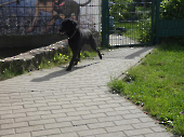 Pension_28
